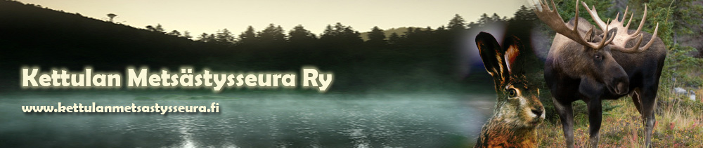 rhy.fi